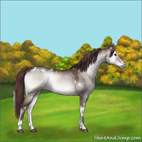 Horse Color:Platinum White Spotted Chocolate Brown Onyx