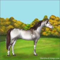 Horse Color:Platinum White Spotted Chocolate Brown Onyx 