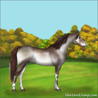 Horse Color:Gray Platinum Chocolate Brown Onyx 