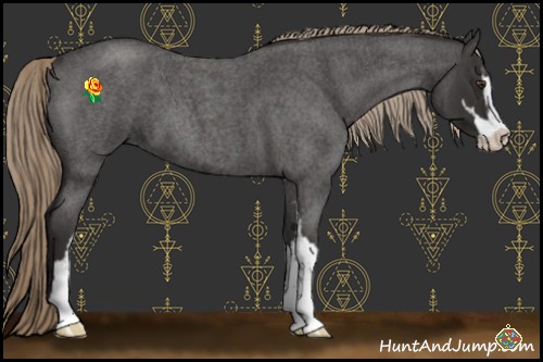 Horse Color:Liver Red Roan Sabino