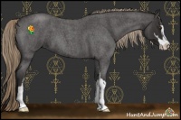 Horse Color:Liver Red Roan Sabino