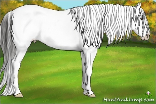 Horse Color:Liver Red Dun Varnish
