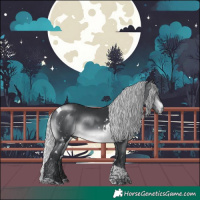 Horse Color:White Spotted Silver Brown Chinchilla Tobiano 