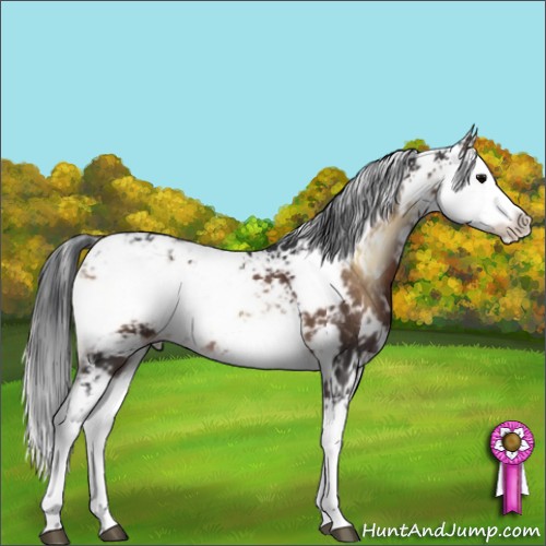 Horse Color:Brown Onyx Sabino