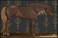 Horse Color:Gray Chestnut 