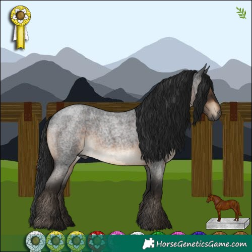 Horse Color:Gray Brown Roan 