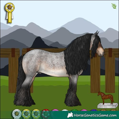 Horse Color:Gray Brown Roan 