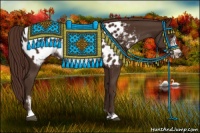 Horse Color:Liver Chestnut Sabino Frame Appaloosa 