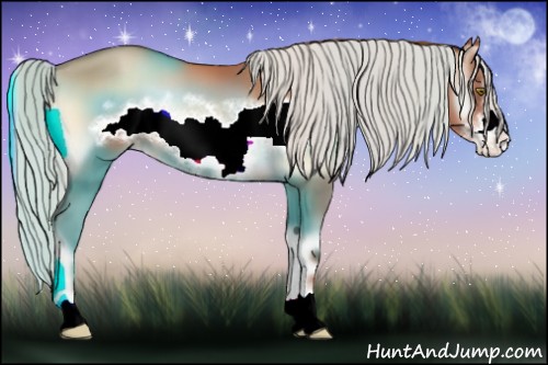 Horse Color:Silver Amber Champagne Onyx Sabino Frame Appaloosa 