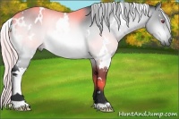 Horse Color:White Spotted Silver Brown Chinchilla Rabicano 