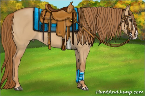 Horse Color:Red Dun Splash 