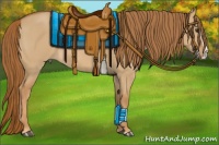 Horse Color:Red Dun Splash 