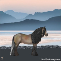 Horse Color:Brown Dun Mushroom 