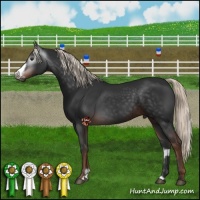 Horse Color:Gray Liver Chestnut Mushroom Frame 