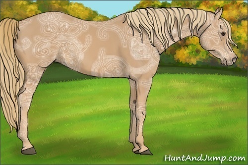 Horse Color:Chestnut Ice Sabino 