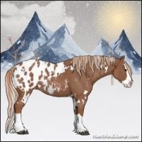 Horse Color:White Spotted Red Roan Splash Appaloosa Rabicano 