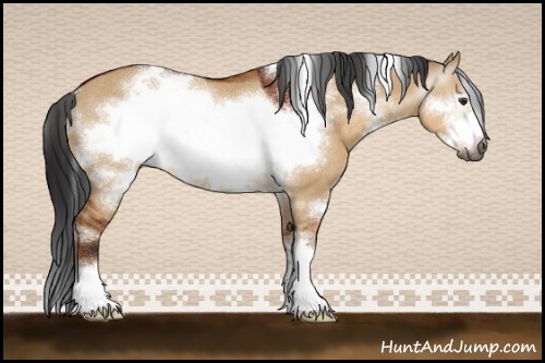 Horse Color:Gray White Spotted Bay Dun Sabino Frame Rabicano