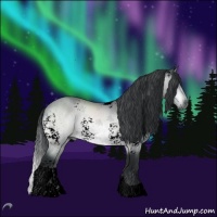 Horse Color:Void White Spotted Brown Chinchilla Tobiano 