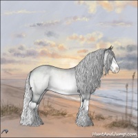 Horse Color:Silver Brown Chinchilla Roan Splash 
