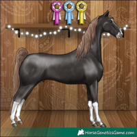 Horse Color:Liver Chestnut Splash 
