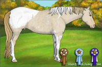 Horse Color:Classic Cream Champagne Dun Tobiano Appaloosa