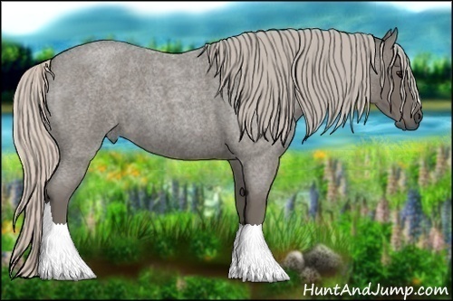 Horse Color:Silver Blue Roan 
