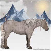 Horse Color:Silver Blue Roan