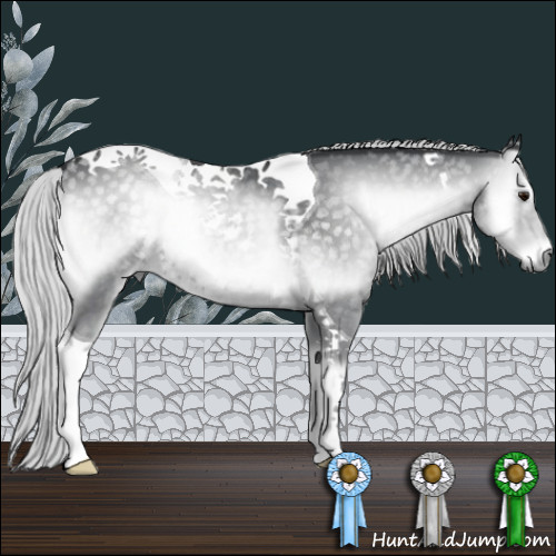 Horse Color:Silver Blue Onyx Chinchilla Tobiano 