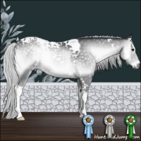 Horse Color:Silver Blue Onyx Chinchilla Tobiano 