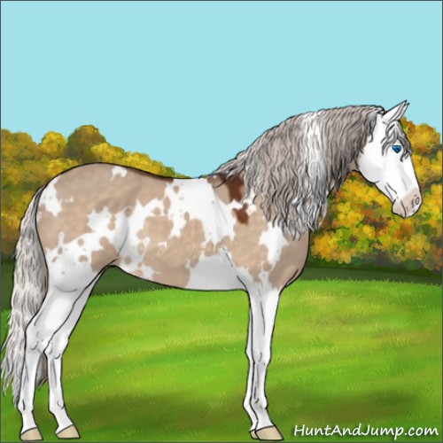 Horse Color:White Spotted Silver Brown Dun Splash 