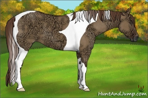 Horse Color:Liver Red Dun Ice Tobiano 