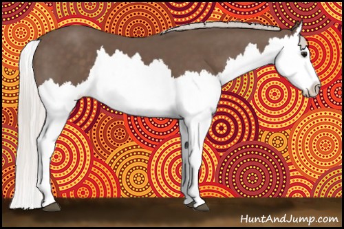 Horse Color:Silver Black Splash 