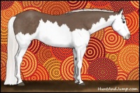 Horse Color:Silver Black Splash 