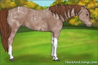 Horse Color:Red Ice Roan Tobiano 