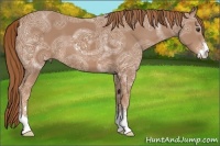 Horse Color:Chestnut Ice Sabino 
