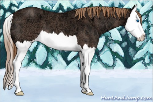 Horse Color:Liver Red Ice Roan Splash 