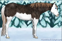 Horse Color:Liver Red Ice Roan Splash
