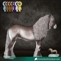 Horse Color:Platinum Chocolate Silver Brown Onyx