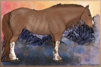 Horse Color:Chestnut Rabicano  and Chestnut Rabicano 