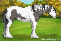 Horse Color:Grullo Splash Tobiano