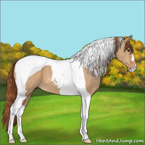 Horse Color:Red Dun Tobiano 