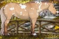 Horse Color:White Spotted Chocolate Silver Buckskin Dun 