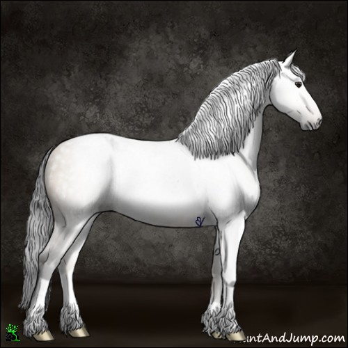 Horse Color:Gray Brown Dun Rabicano 