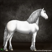 Horse Color:Gray Brown Dun Rabicano