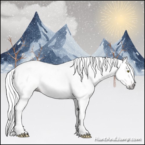Horse Color:Gray White Spotted Gold Champagne Roan Dun Splash Appaloosa Rabicano 