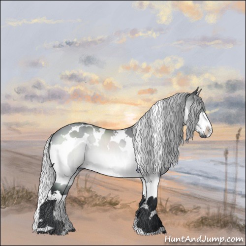 Horse Color:Silver Brown Chinchilla Splash Tobiano 