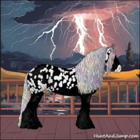 Horse Color:Nacre Silver Bay Chinchilla Roan Dun Splash Appaloosa 