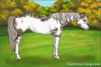 Horse Color:White Spotted Liver Chestnut Mushroom Frame 