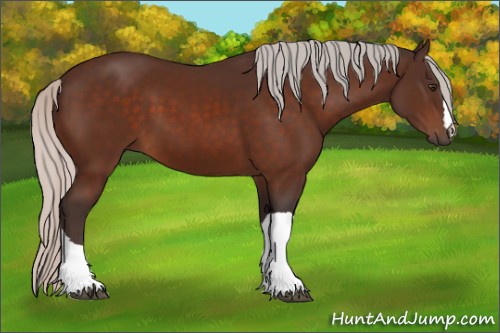 Horse Color:Silver Brown 