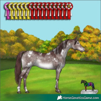 Horse Color:Platinum White Spotted Chocolate Brown Dun 